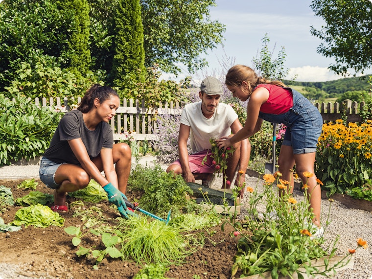 Aan de slag: maak je tuin zomerklaar in 1 weekend