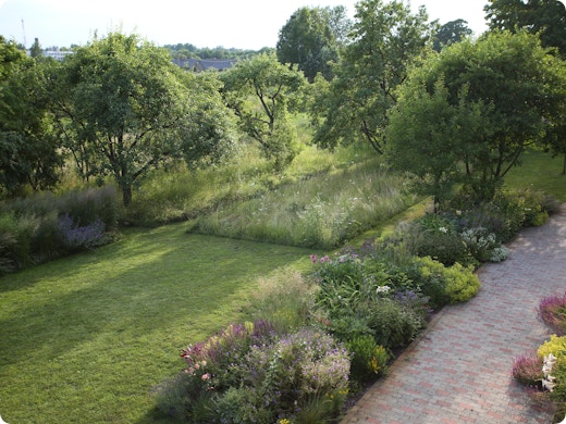 « Mai sans tondeuse » : laisser l’herbe pousser ou créer une prairie fleurie ?
