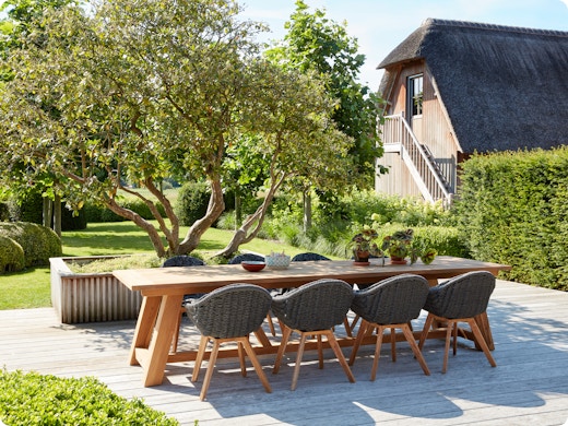 Comment choisir et planter un arbre ? Suivez ce plan par étapes