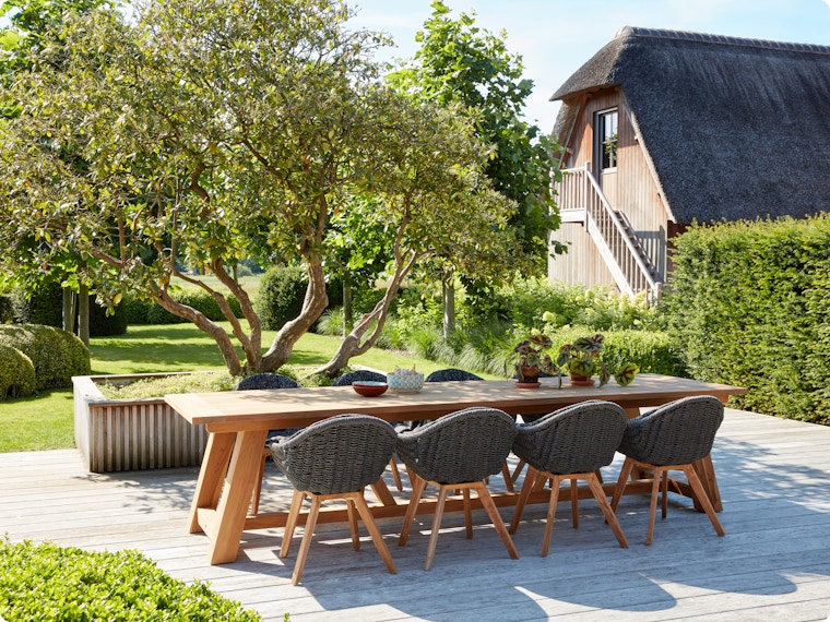 Comment choisir et planter un arbre ? Suivez ce plan par étapes