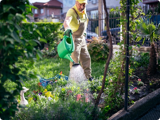 Un jardin beau et frais en été ? Un expert donne 7 conseils