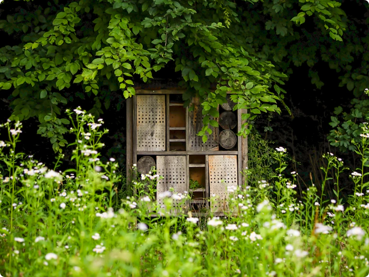 Natuurlijke tuin aanleggen: het juiste tuinontwerp is cruciaal
