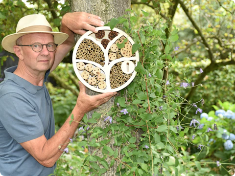 Zo transformeer je je tuin in een groene oase: 10 tips van expert Marc Verachtert