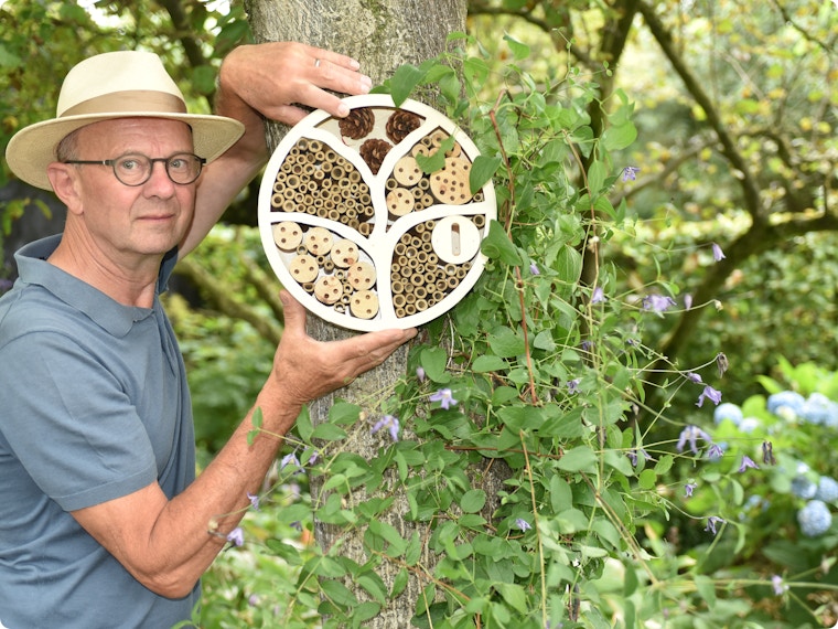 10 tips voor meer natuur in je tuin: zo maak je een groene oase
