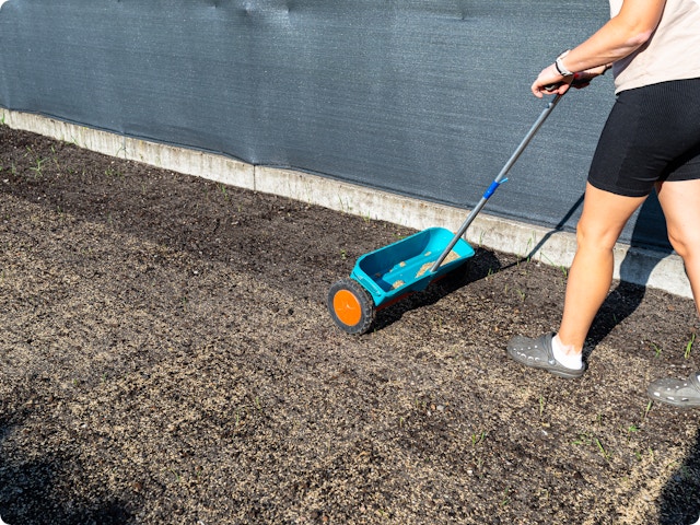 Semer du gazon au printemps ? Attendez que la température atteigne 10 °C