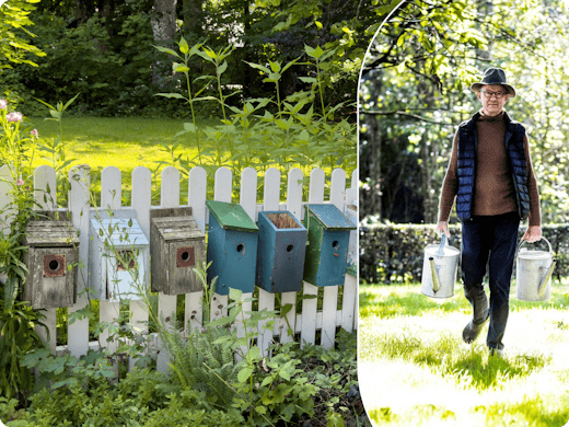 5 conseils pour un jardin naturel et accueillant pour les animaux