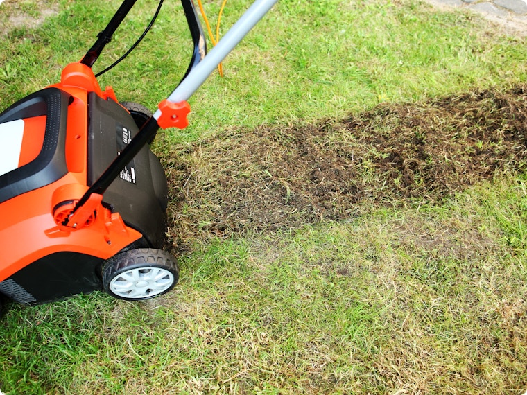 Verticuteren in september: stappenplan voor een sterk en mosvrij gazon