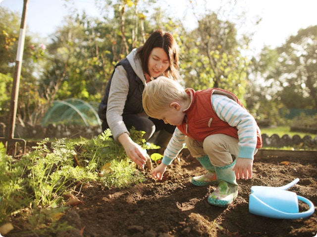 Tuinieren in de herfst: dit kan je nog in het najaar doen