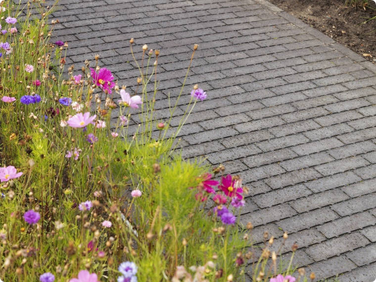 Wat is een waterdoorlatende verharding en telt het mee als verharding?