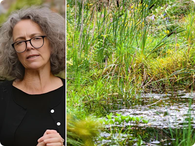 Tuinarchitect Lisbeth Creemers tipt: “Grijp in een kleine stadstuin niet te snel naar ondergrondse kratten”