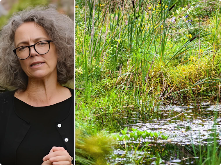 Tuinarchitect Lisbeth Creemers tipt: “Grijp in een kleine stadstuin niet te snel naar ondergrondse kratten”