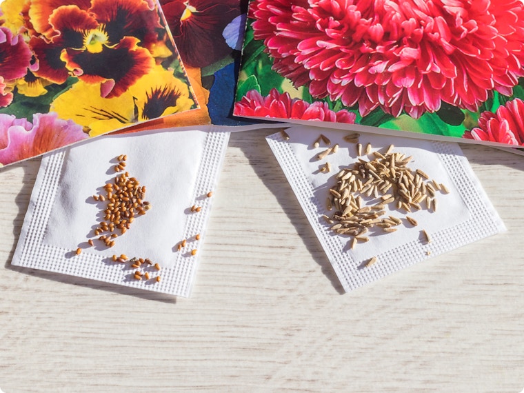 Vervallen zaden, bloembollen of meststof gebruiken? Expert deelt advies