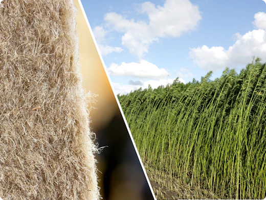 À la une : nouvelle isolation en chanvre écologique, facile à poser et d’origine néerlandaise