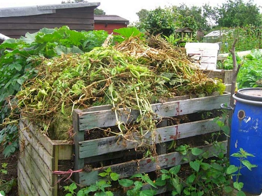 Mag je gemaaid gras composteren?